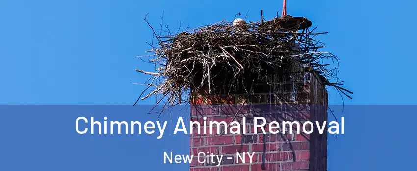 Chimney Animal Removal New City - NY