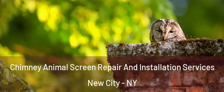 Chimney Animal Screen Repair And Installation Services New City - NY