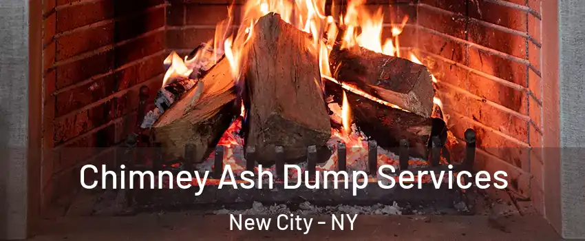  Chimney Ash Dump Services New City - NY