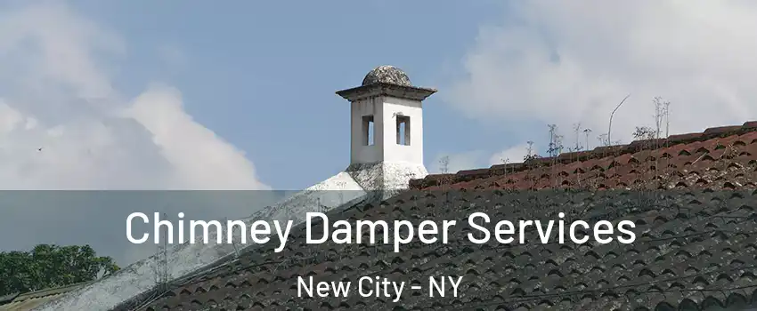  Chimney Damper Services New City - NY