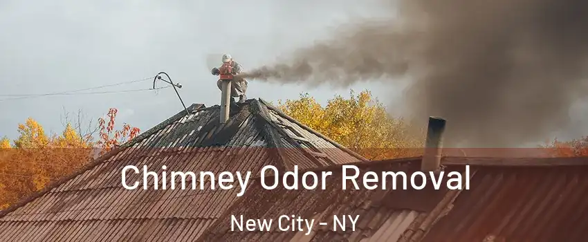  Chimney Odor Removal New City - NY