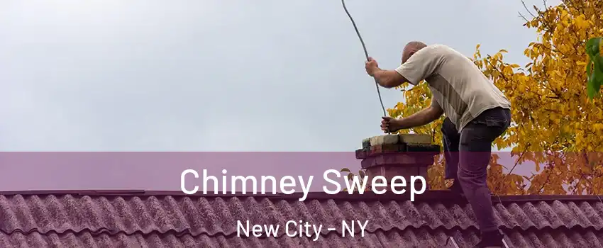  Chimney Sweep New City - NY