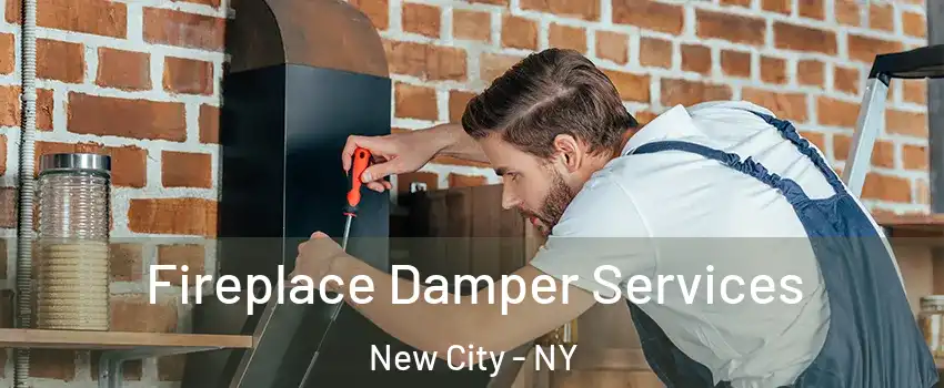  Fireplace Damper Services New City - NY