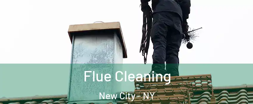  Flue Cleaning New City - NY