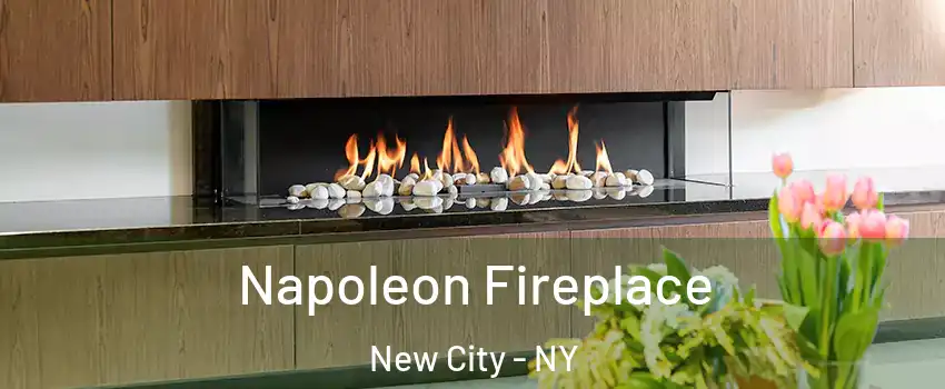  Napoleon Fireplace New City - NY