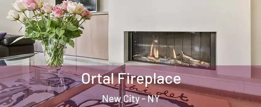 Ortal Fireplace New City - NY
