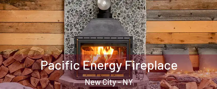  Pacific Energy Fireplace New City - NY
